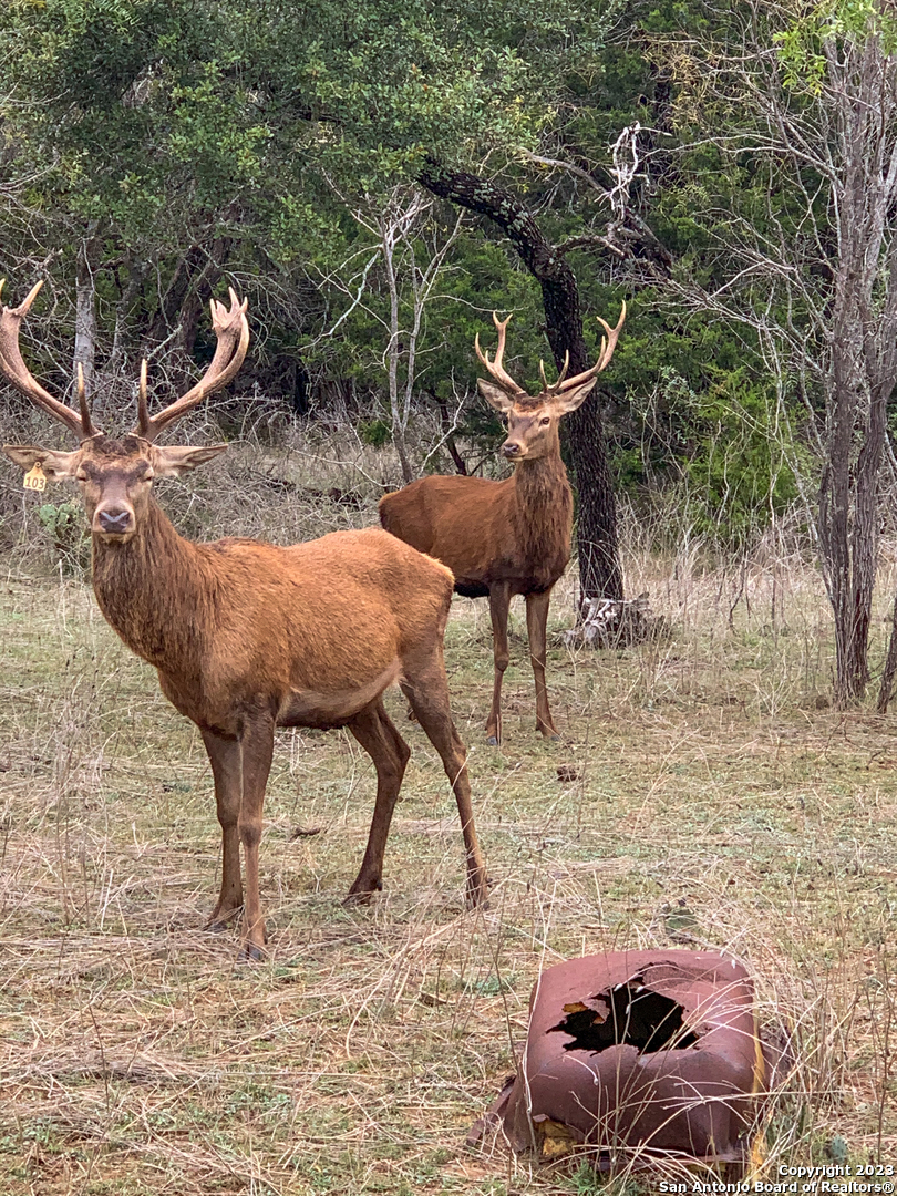 000 South Hwy 281