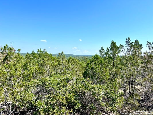900 ALONZO RD, HARPER, TX 78631 - Image 82414101eeac5d44f9998e1fda2513ff/1430411764
