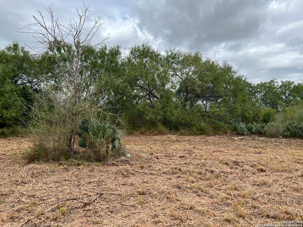 Photo of TBD S Hwy 281, Pleasanton, TX 78064 (MLS # 1940186)