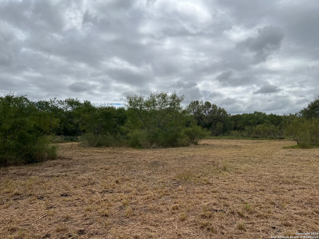 Photo of TBD S Hwy 281, Pleasanton, TX 78064 (MLS # 1940186)