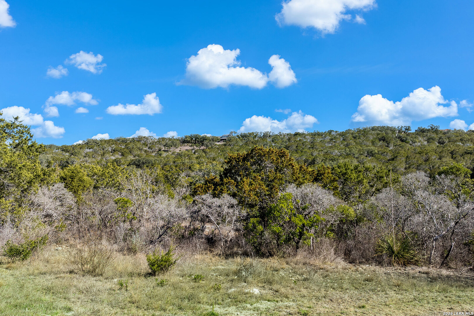 171 County Road 2814