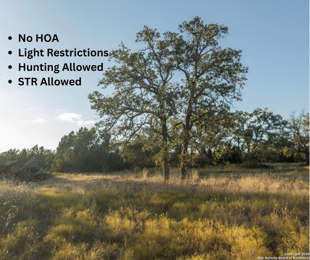 Photo of TBD Herbert-Schaefer, Fredericksburg, TX 78624 (MLS # 1806053)