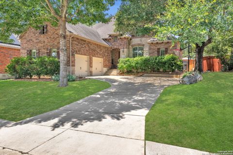 23229 Bison Canyon San Antonio TX 78261