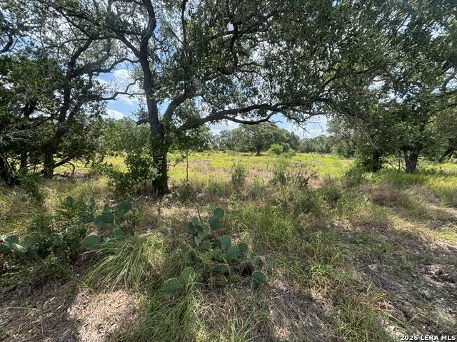 LOT 44 Pr 2535