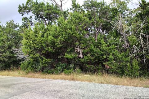 355 Eagle Rock Rd, Spring Branch, TX 78070 - #: 1818513