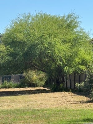 206 & 210 TIDEWIND ST, SAN ANTONIO, TX 78221 - Image 85a037a15e02c8b9a50bb77aa89706fb/658781023