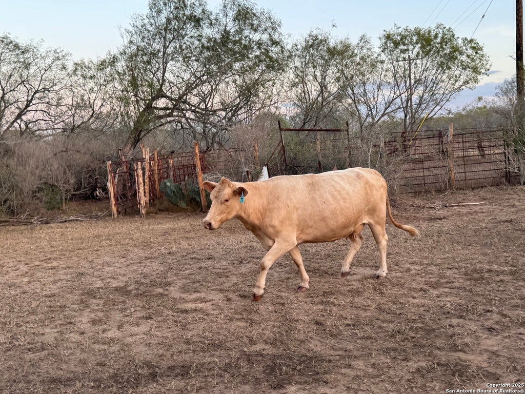 Photo of TBD Fm 1681-Tract 3, Stockdale, TX 78160 (MLS # 1857946)