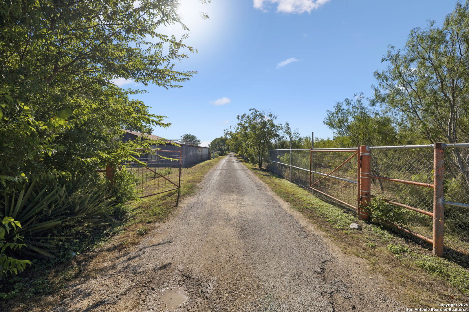13146 Galm Road
