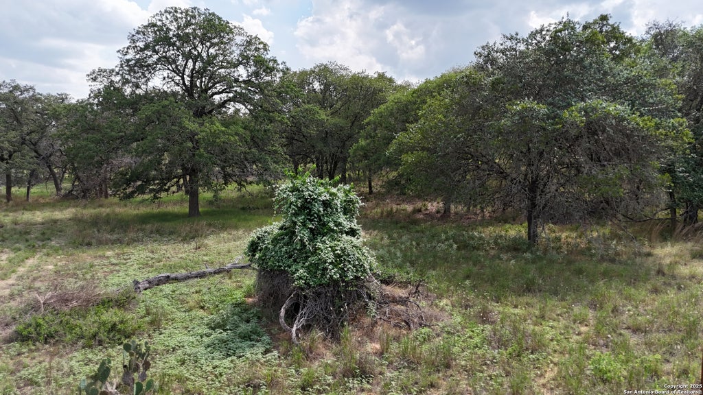 Photo of 1228 Morning Glory Ln, Adkins, TX 78101 (MLS # 1878645)