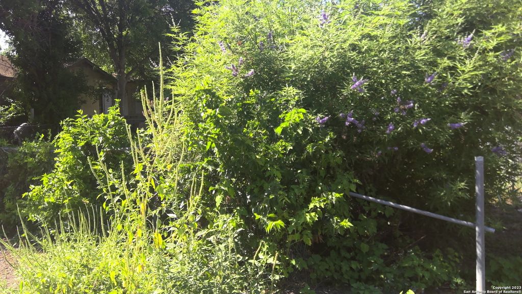 Photo of 112 Del Valle Alley, San Antonio, TX 78207 (MLS # 1719659)