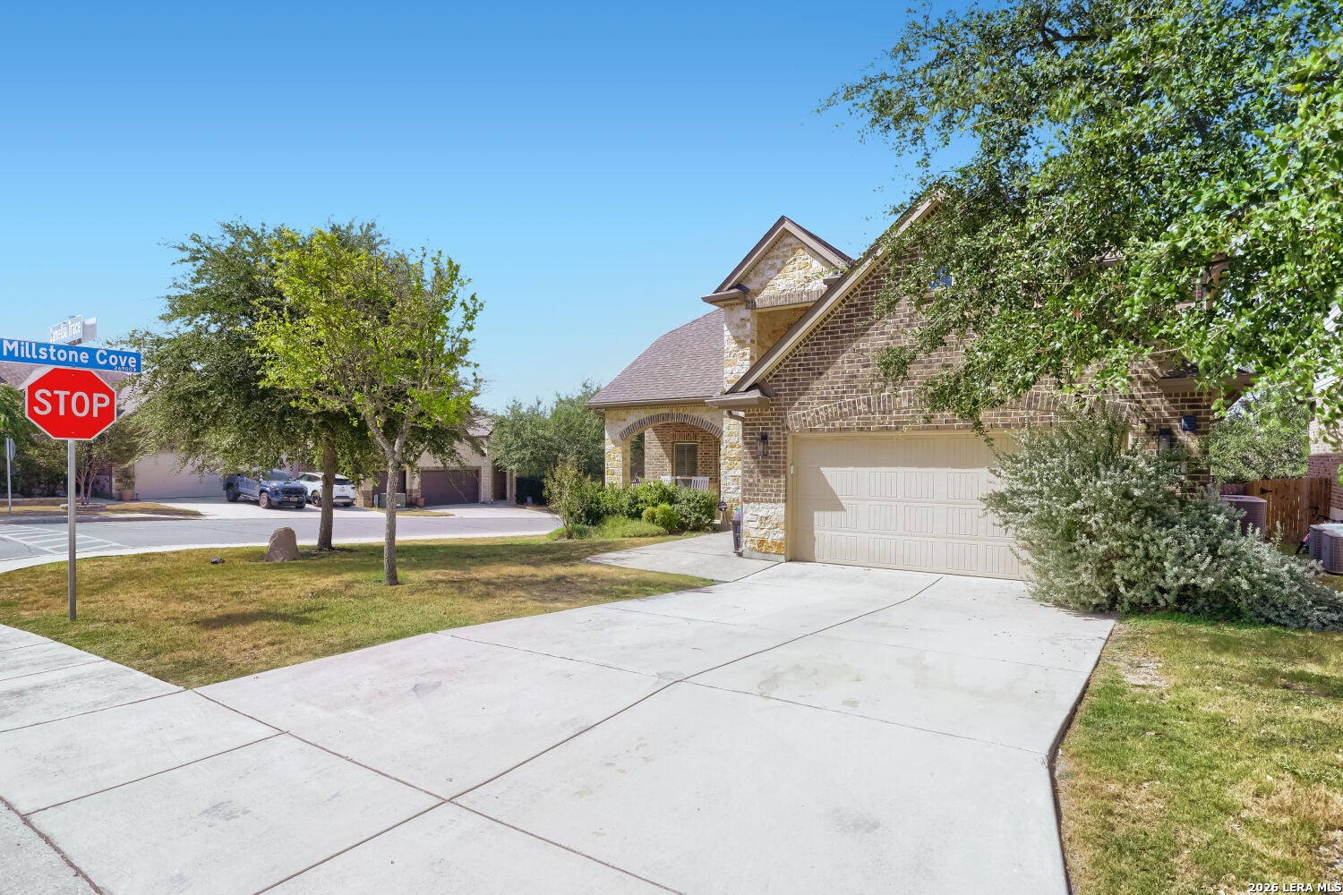 26903 CAMELLIA TRCE