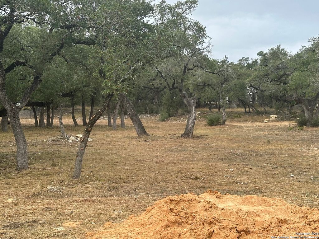 Photo of 954 maximino ridge, Bulverde, TX 78163 (MLS # 1924577)