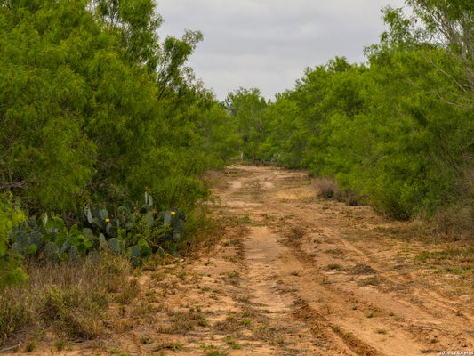 6 FM 1581, PEARSALL, TX 78061 - Image 89caff5c93298d4e61e4eb48df0ea4d0/1407905819