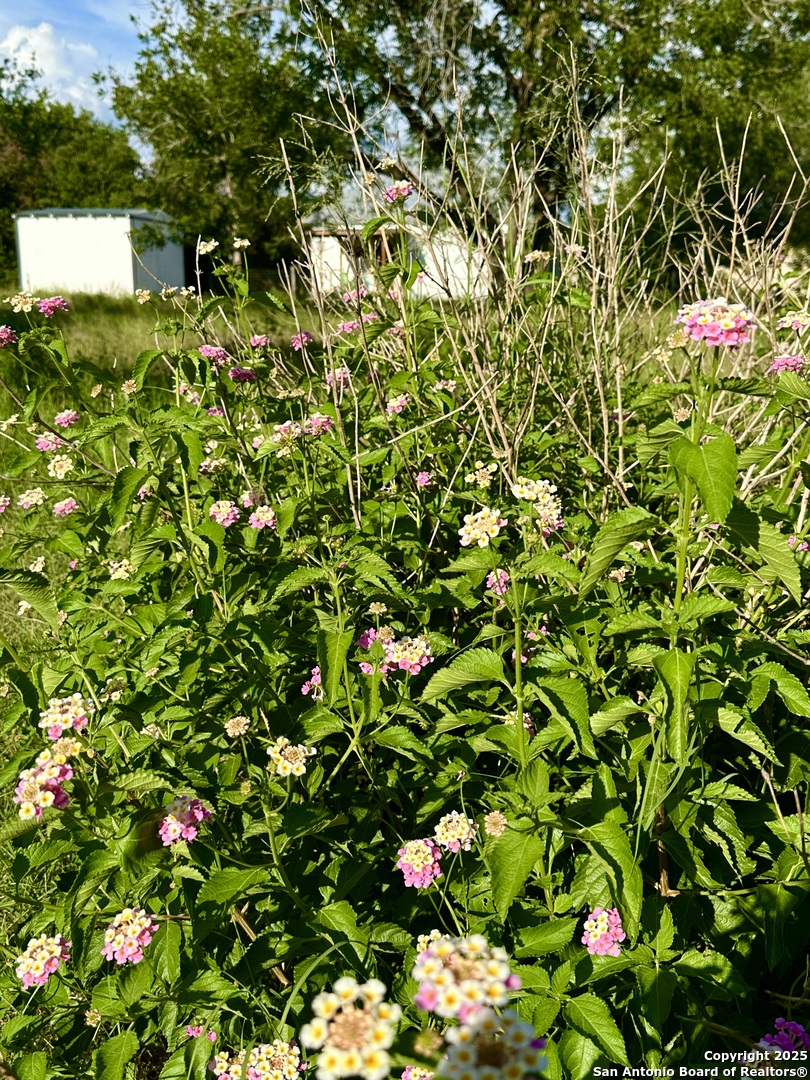 Utopia, Texas 78884, United States, 3 Bedrooms Bedrooms, ,1 BathroomBathrooms,Residential,Active,159415