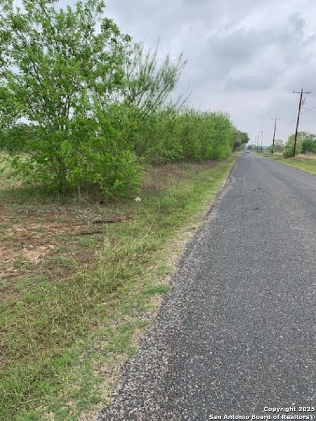 Photo of 282 CR 6610, Devine, TX 78016 (MLS # 1857436)