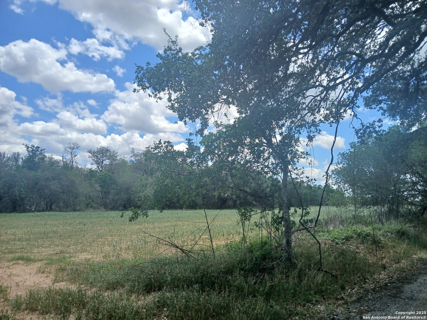 00 New Sulphur Springs