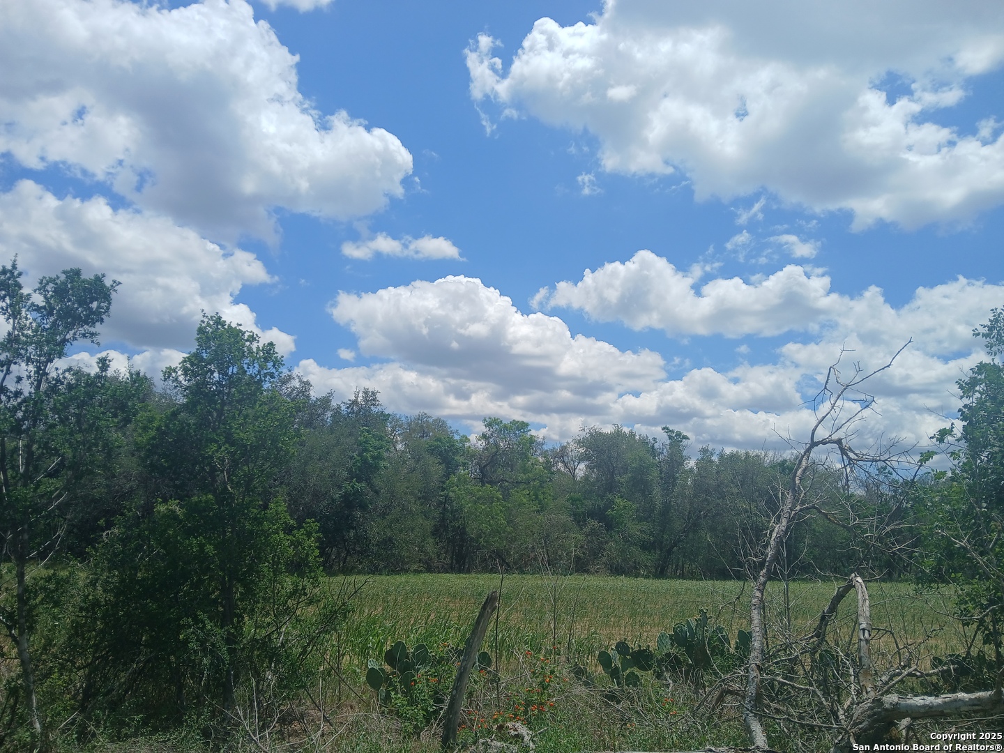 00 New Sulphur Springs