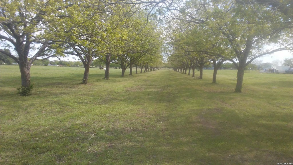 Photo of 263 KRAMS CREEK RD, Seguin, TX 78155 (MLS # 2017861)