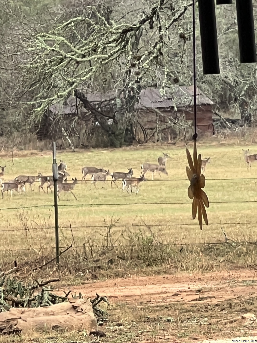 1384 County Road 326