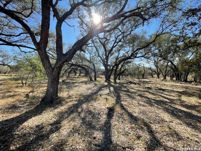 1384 County Road 326