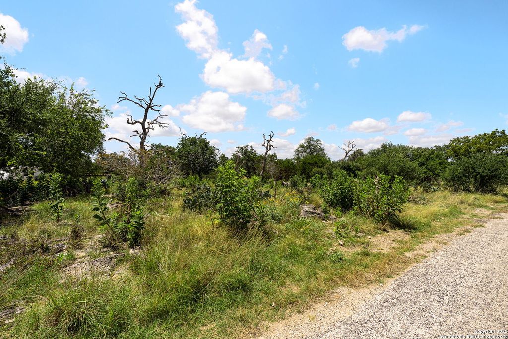 Photo of 211 Spring Rd, Fredericksburg, TX 78624 (MLS # 1889938)