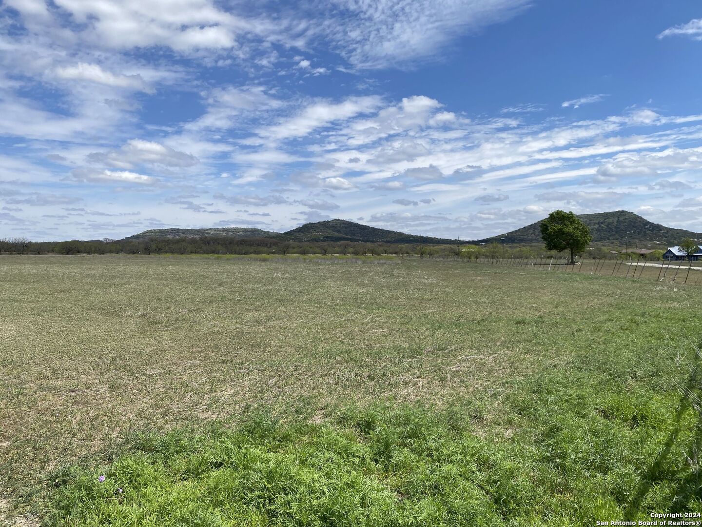 254 Possum Haw Holly Trl.