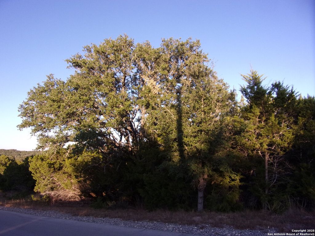 Photo of 361/395 Mountain Wood, Canyon Lake, TX 78133 (MLS # 1923298)