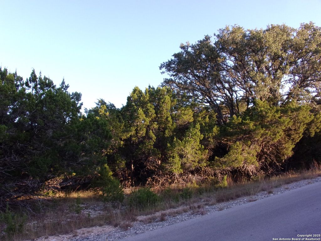 Photo of 361/395 Mountain Wood, Canyon Lake, TX 78133 (MLS # 1923298)