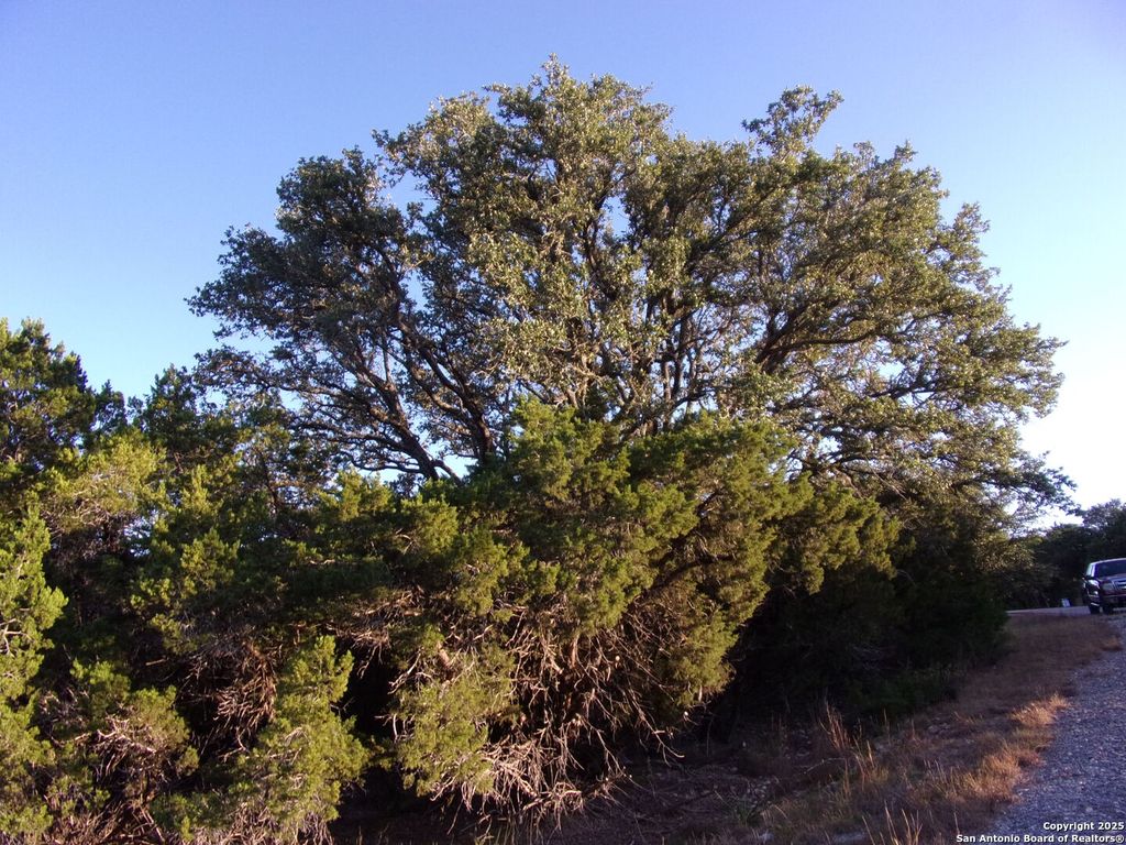 Photo of 361/395 Mountain Wood, Canyon Lake, TX 78133 (MLS # 1923298)