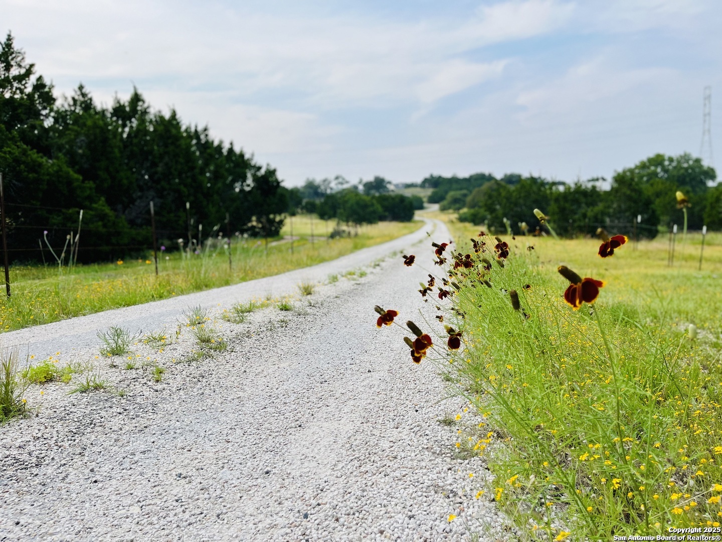 1822 Shepherds Ranch