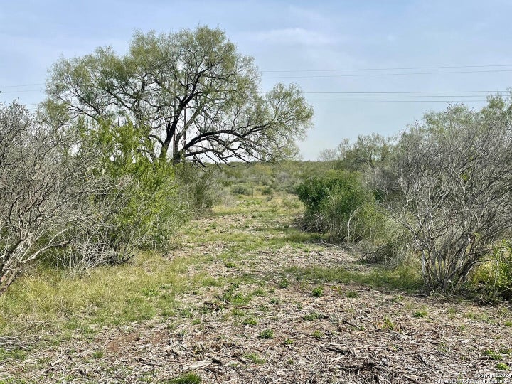 Photo 1 of 8 — 173 county road 1670, Moore, TX 78057