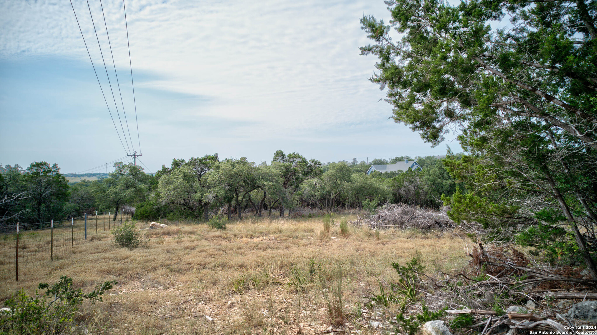 Spring Branch, Texas 78070, United States, ,Land,Active,46695