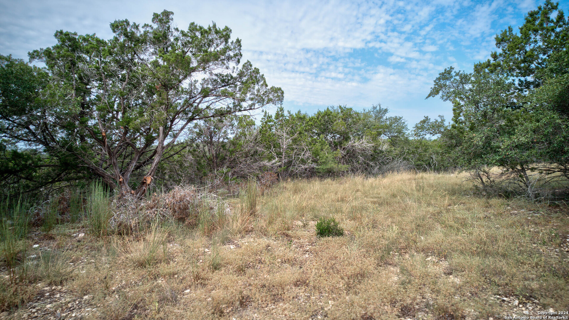 Spring Branch, Texas 78070, United States, ,Land,Active,46695