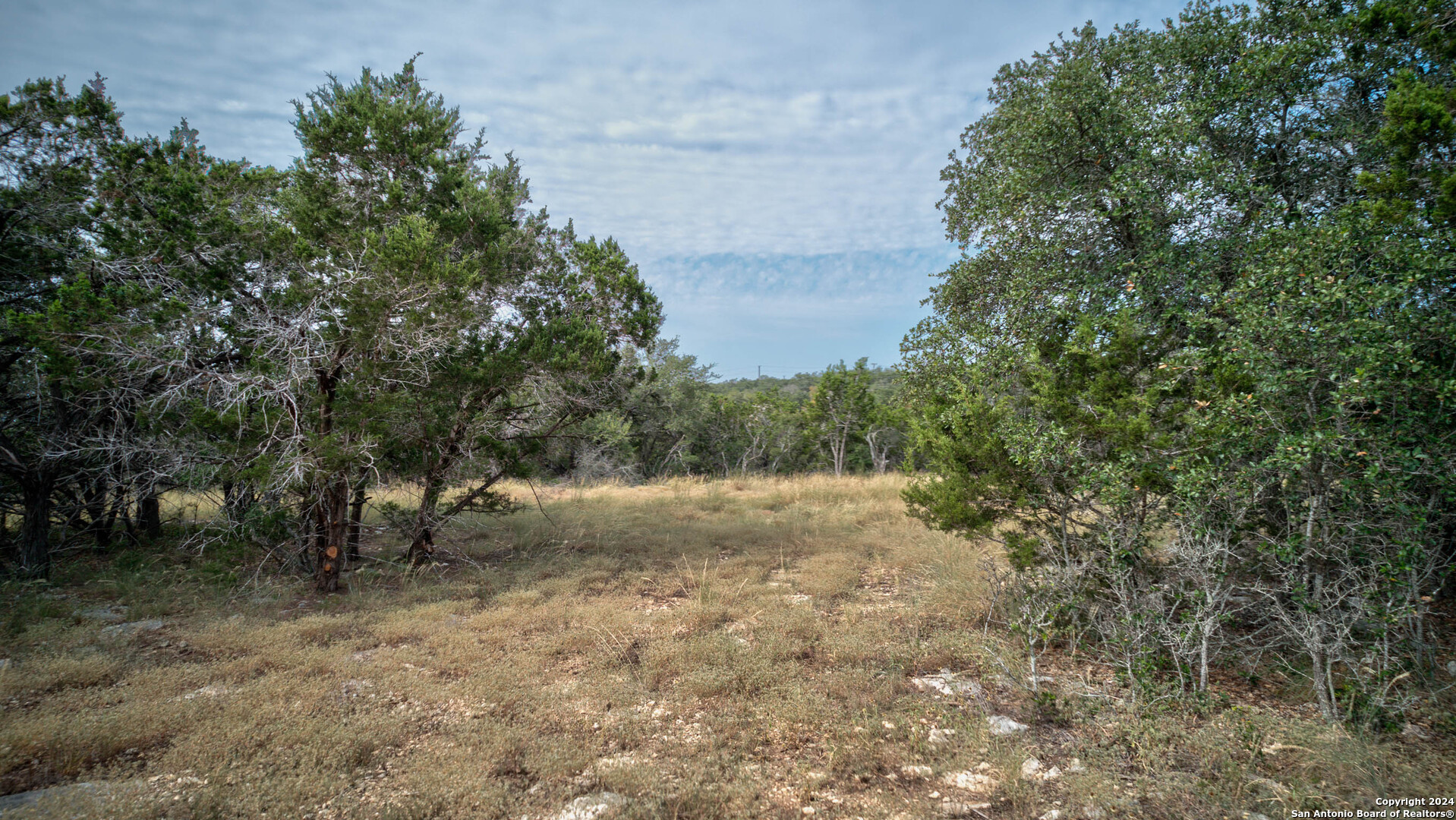 Spring Branch, Texas 78070, United States, ,Land,Active,46695