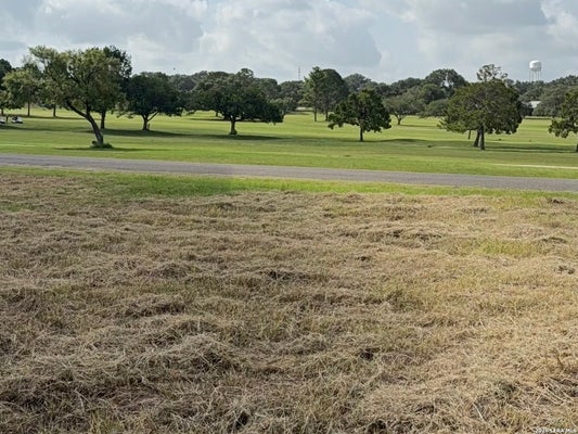 585 COUNTY ROAD 768, DEVINE, TX 78016 - Image 8fcd2d0c9e456bfed9401de8ee0efb8b/2789208955