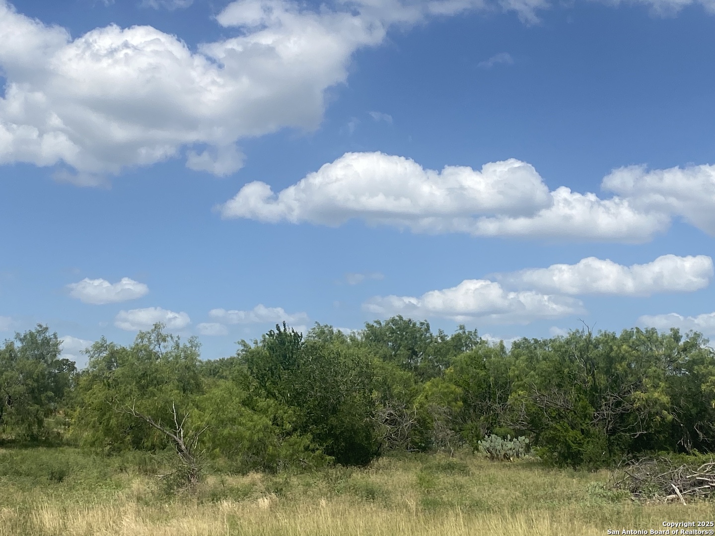 Atascosa, Texas 78002, United States, ,Residential,Active,113524