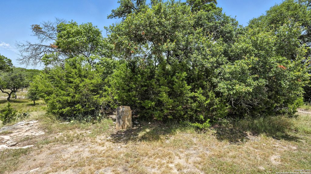 Photo of 2559 George Pass, Canyon Lake, TX 78133 (MLS # 1880929)