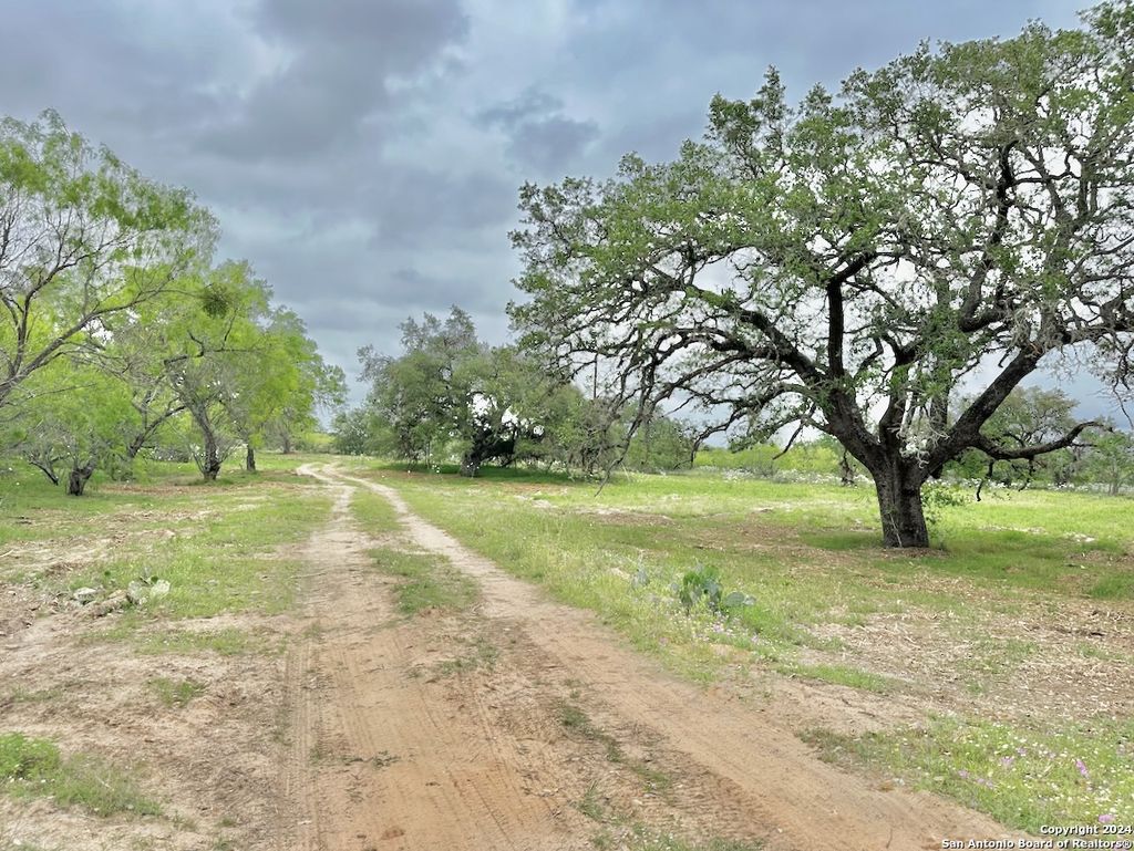 Photo of 369.4 AC CR 7711, Devine, TX 78016 (MLS # 1877421)