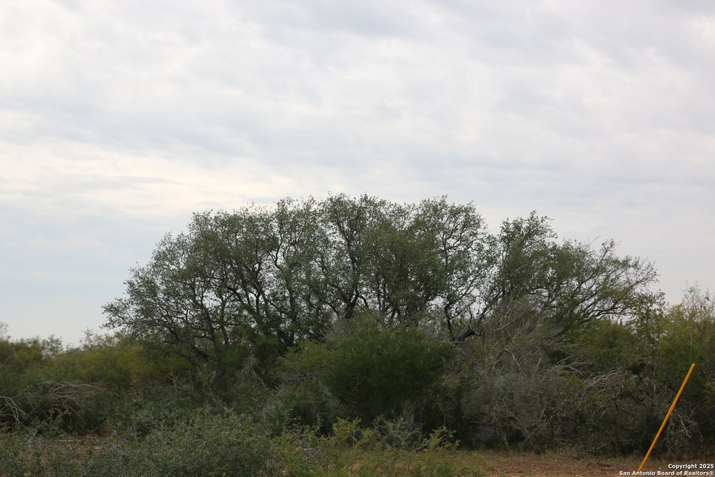 Photo of TBD #2 County Road 567, Devine, TX 78016 (MLS # 1926871)