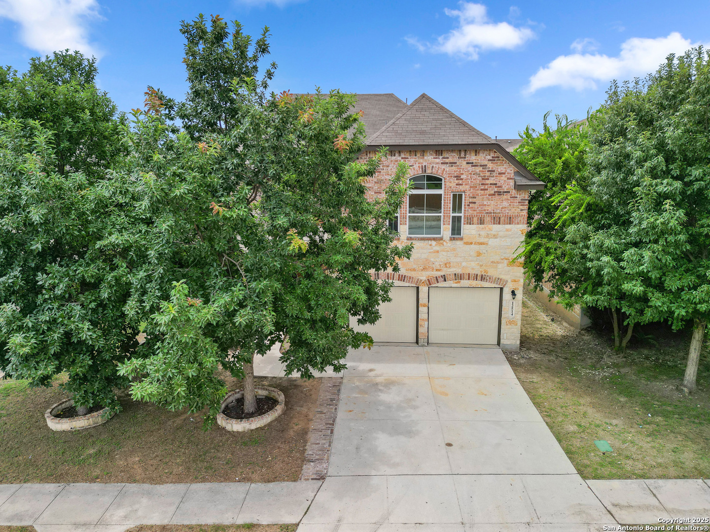 12514 Red Maple