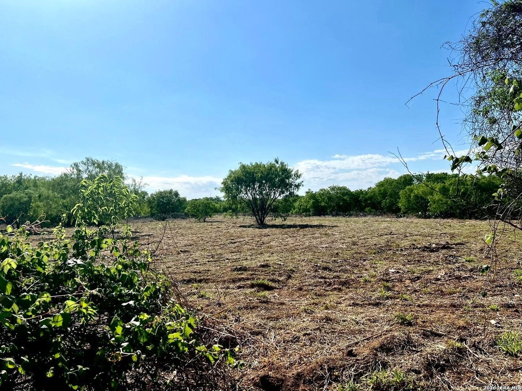 Photo of 5967 Granato Rd, Poteet, TX 78065 (MLS # 1956577)