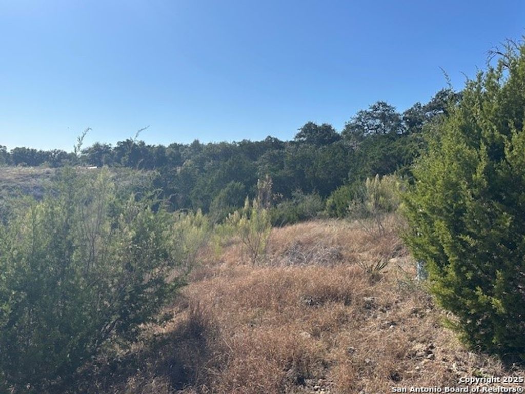 Photo of 2116 (LOT 1173) PASSARE, New Braunfels, TX 78132 (MLS # 1922464)