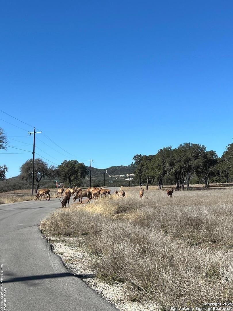 Photo of LOT 58 Red Stag Lane, Pipe Creek, TX 78063 (MLS # 1836289)