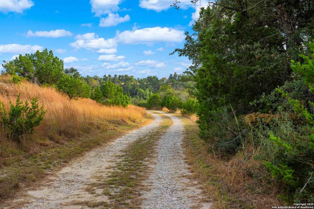 Photo of 7625 N State Highway 16, Fredericksburg, TX 78624 (MLS # 1927500)