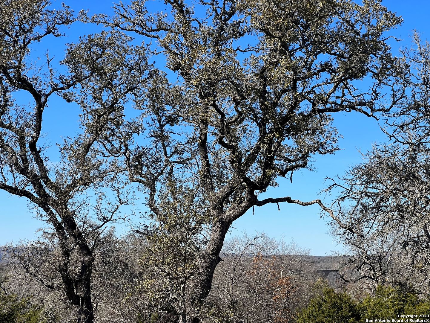 TBD Waring Welfare Rd