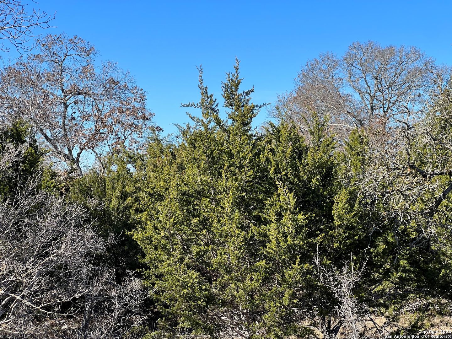 TBD Waring Welfare Rd