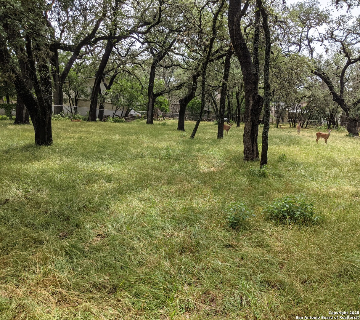 16814 Lilly Crest