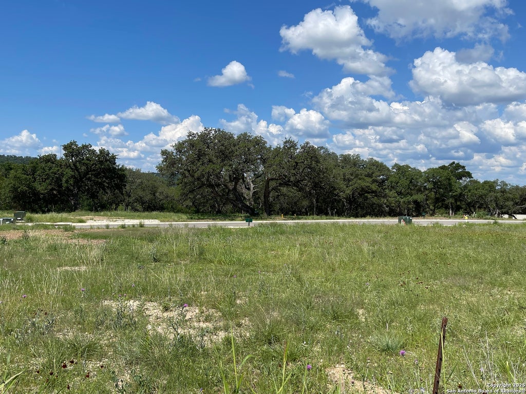 Photo of 23634 Cliff Line, San Antonio, TX 78257 (MLS # 1870809)