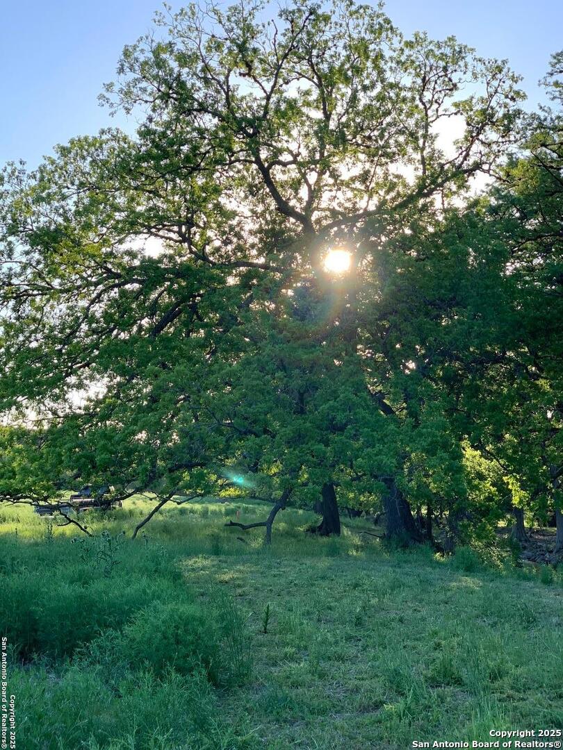 LOT 94 Sabinas Ridge Road