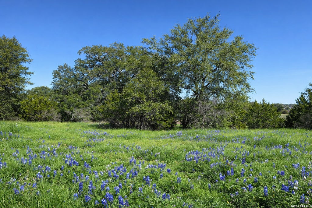 Photo of LOT 76 Horseshoe, Bandera, TX 78003 (MLS # 1938100)
